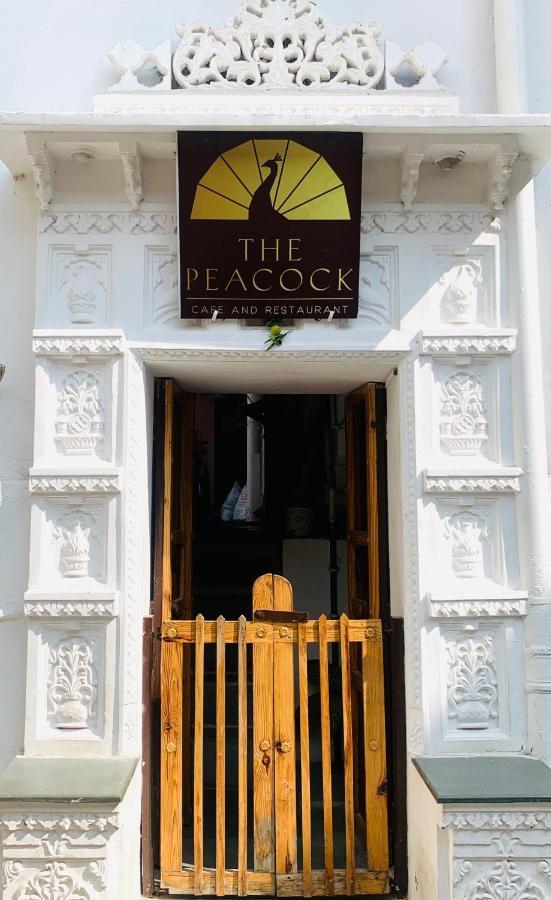 Peacock Guest House - Lake View Hotel In Udajpur Exteriér fotografie